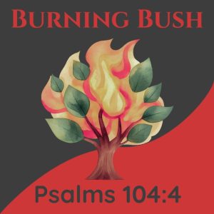 Burning Bush