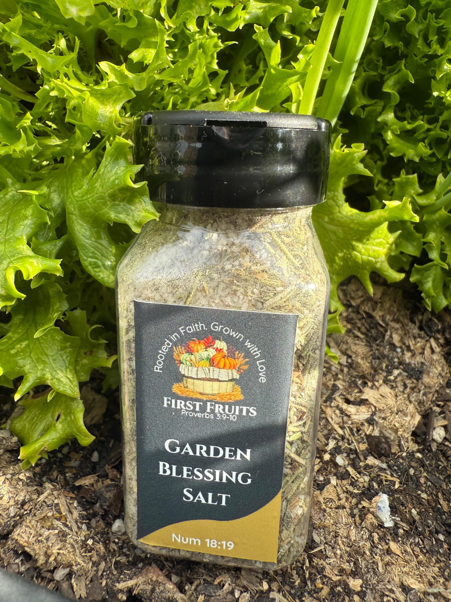 harvest celebration salt harvest celebration salt