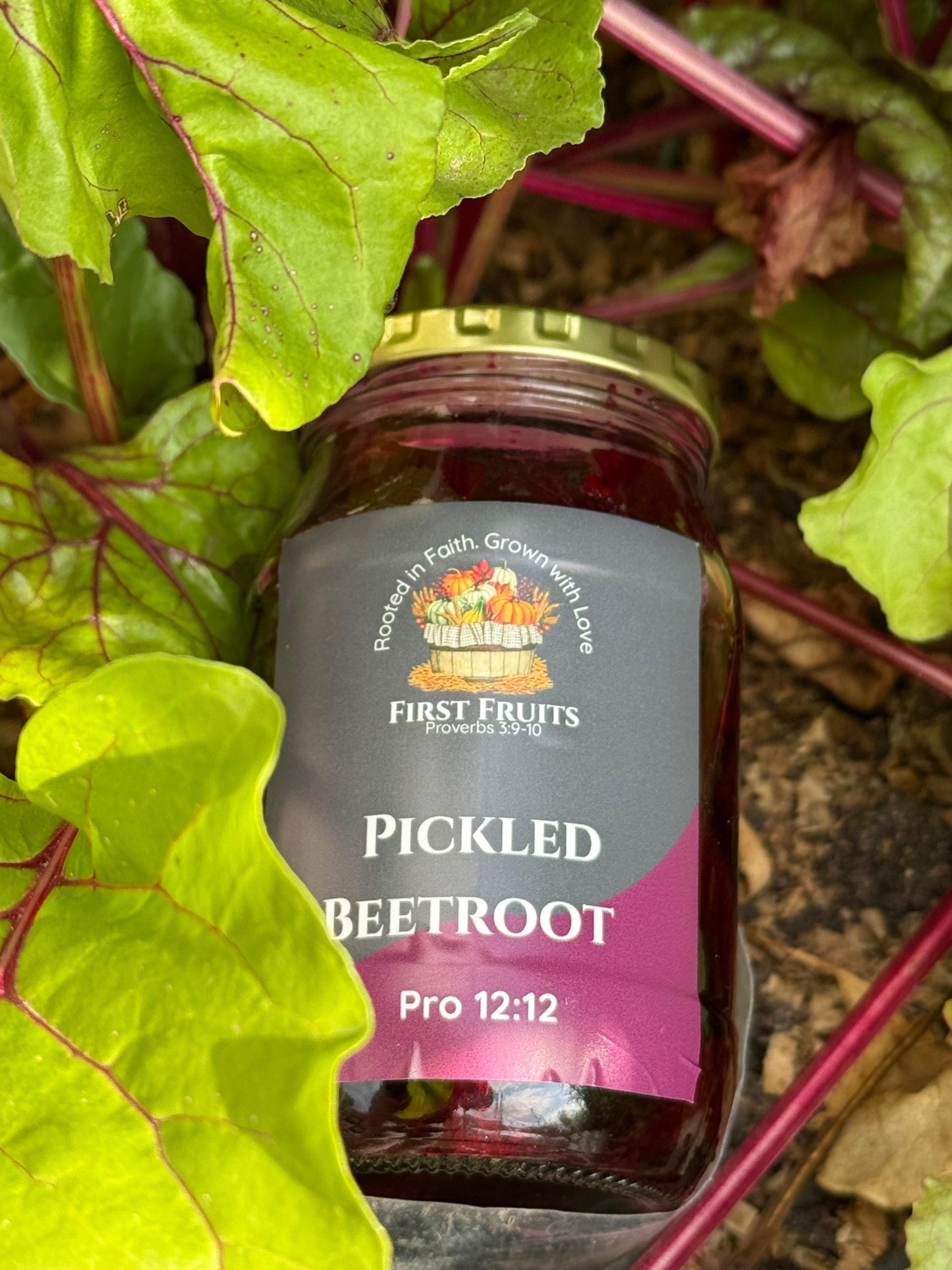pickled beetroot pickled beetroot